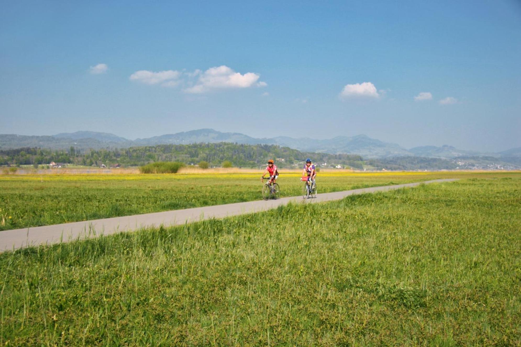 Landgasthof Zum Zimmermann Jona - Rapperswil Ngoại thất bức ảnh